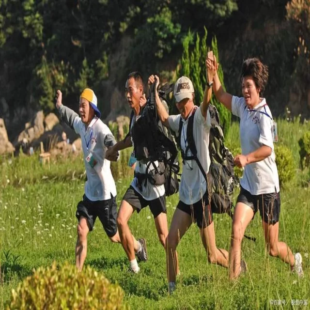 全球新闻趋势与数据深度解读：如何抓住变化脉搏